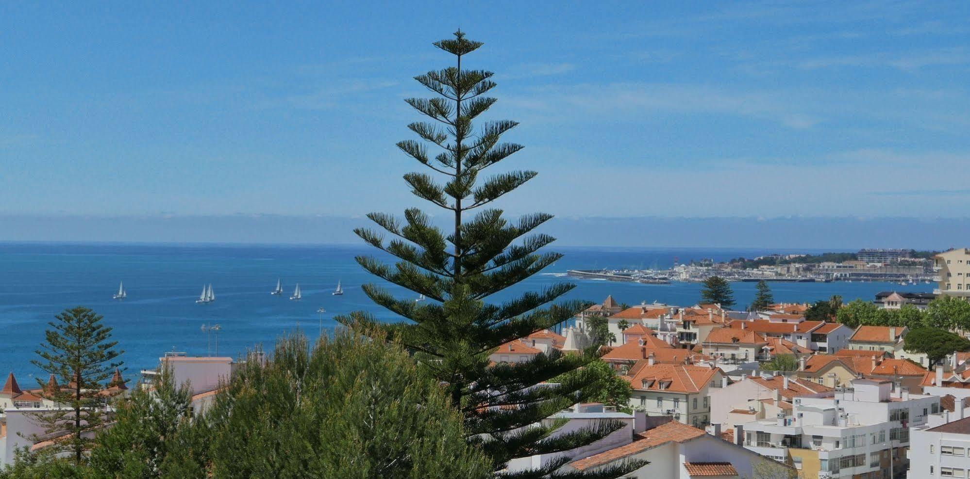 Dolce Vita Guesthouse Estoril Luaran gambar